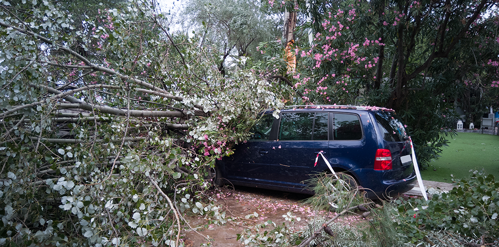 Car damaged from Brisbane storms
